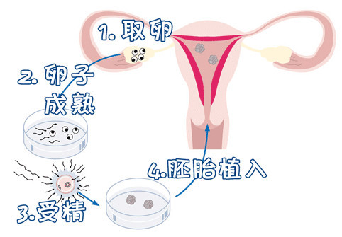陳明瑜